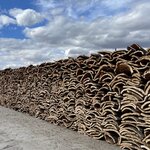 Photo taken by Ellen F