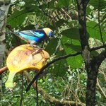 Photo taken by Tenley G