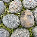 Photo taken by Erin J