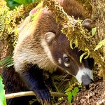 Photo taken by Mary D