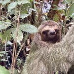 Photo taken by Marc A