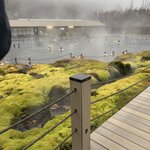 Photo taken by Meg K