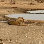 Photo taken by Nigel R