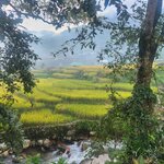 Photo taken by Sevi Y