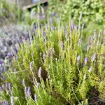 Photo taken by Susan W