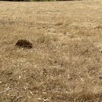 Photo taken by Amy Z