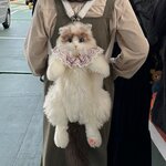 Photo taken by Evan S