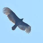 Photo taken by Graeme W