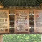 Photo taken by LaTasha J