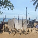 Photo taken by Alison R