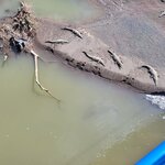 Photo taken by Alda Bernice M