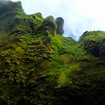 Iceland green | Photo taken by Eneken M