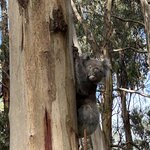 Photo taken by Amy Z