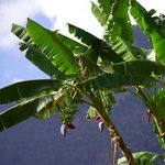 Photo taken by Peter M