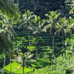 Photo taken by Jason C