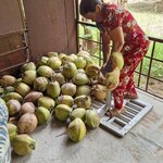 Photo taken by Stephen B