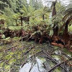 Photo taken by Mary B