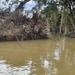 Photo taken by William S