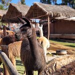 Photo taken by Nicolette S