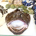 Photo taken by Alex T