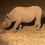 Photo taken by Nigel R