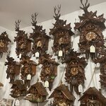 Photo taken by Jodi P