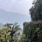 Photo taken by Shirley S