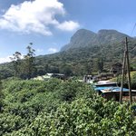 Tea | Photo taken by Karyn R