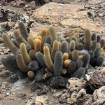 Photo taken by Lisa P