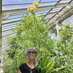 Photo taken by Jen F