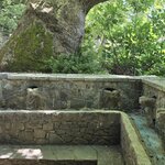 Photo taken by Candi S