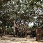 Islas del Rosario | Photo taken by Jason K