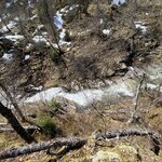 Photo taken by Marsha W