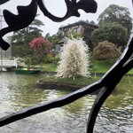 Photo taken by Deborah C