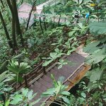 Photo taken by Kathy K