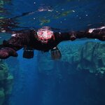 Photo taken by Andrew H