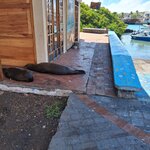 Photo taken by Elise C