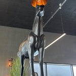 Photo taken by Meg K