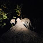 Photo taken by Linette B