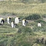 Photo taken by Caner K