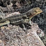 Photo taken by Jennifer A