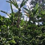 Photo taken by Weston L