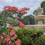 Photo taken by Robin W