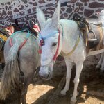 Photo taken by Douglas M