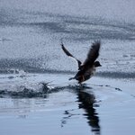 Photo taken by Iain M