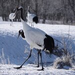 Photo taken by Iain M