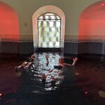 Photo taken by Andrew A