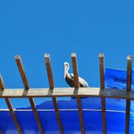 Photo taken by Natascia V