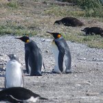 Photo taken by Douglas A