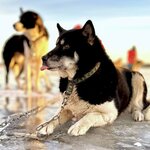 Photo taken by Kristin T